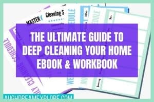 cleaning printable templates