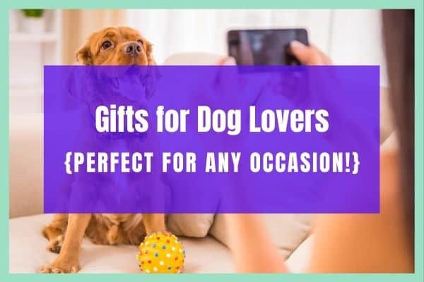 Gifts for Dog Owners